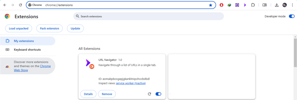 Enabling developer mode and enabling extension